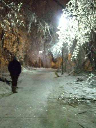 "winter walk" photo by John Fisher copyright 2007